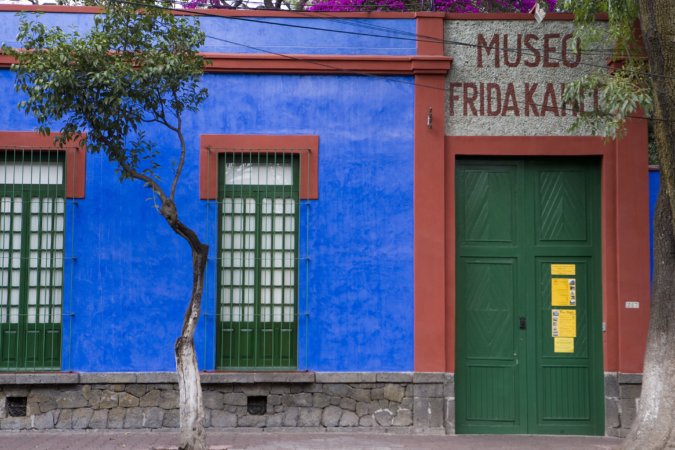 Frida Museum